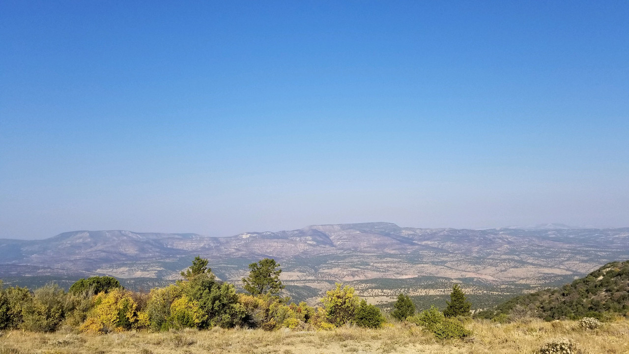 6B3E0624-52B2-4EC1-AEDF-48B39C05FF2E