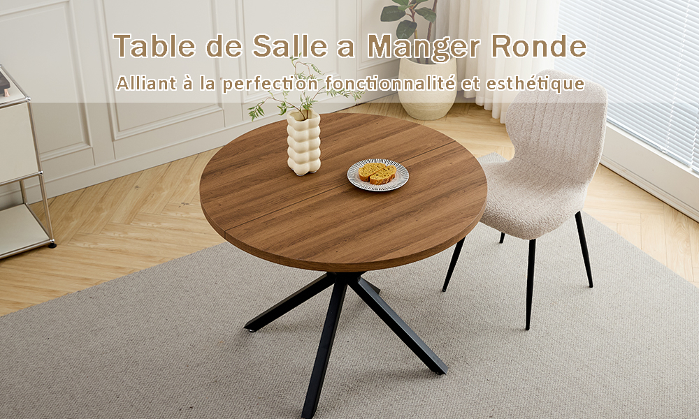 Table à manger - design intérieur