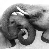 16-stock-daily-love