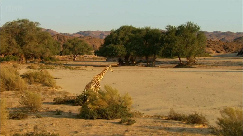 [Image: mx0w8f6evq2l.jpg]