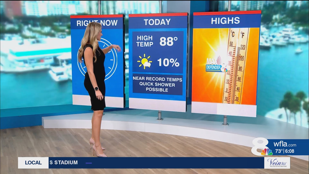 NewsChannel 8 Today at 6a_20241112_11001200.ts_snapshot_08.44.397