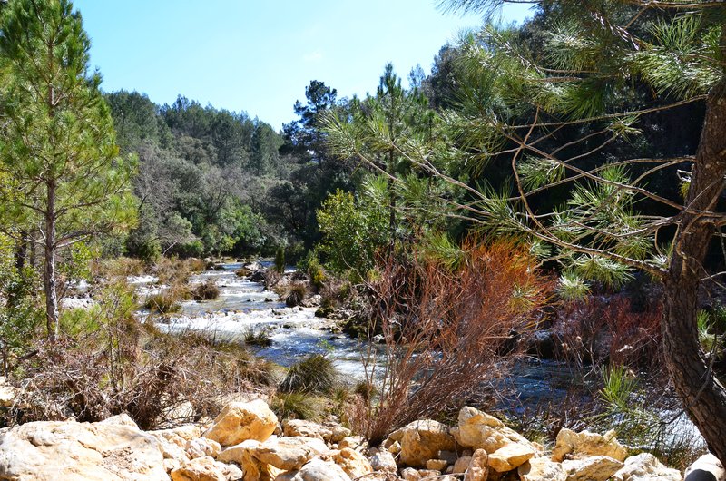RUTA RIO BOROSA-12-3-2016-JAEN - Paseando por España-1991/2016 (21)