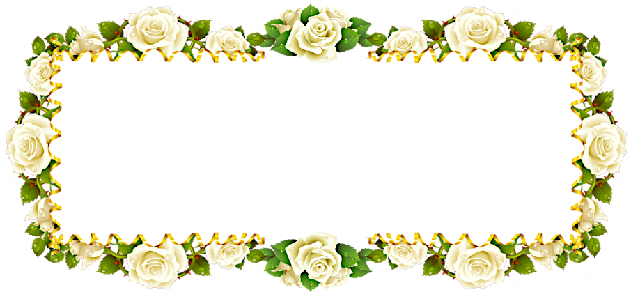 SEARCH
