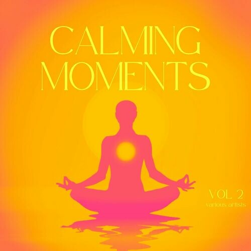 VA - Calming Moments, Vol. 2 (2024) [FLAC]   
