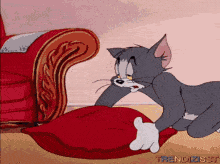 tom-pillow.gif