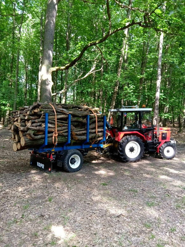 448194764_3393120747660691_6663959324036941852_n