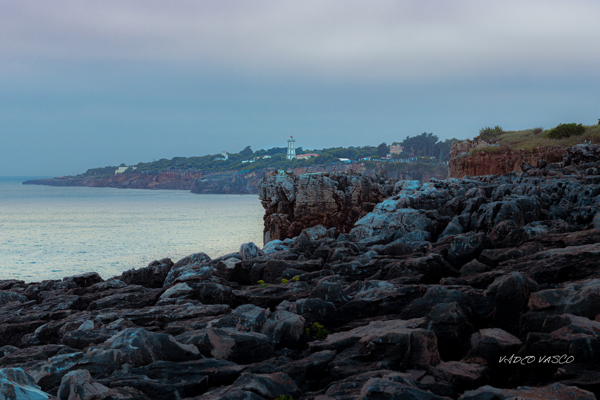 HIve-Boca-Inferno-1-10.jpg