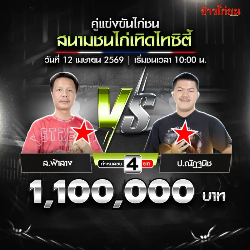 ส.ฟ้าสาง พบ ป.ณัฎฐนิช โปรแกรมไก่ชน สนามชนไก่เทิดไทซิตี้