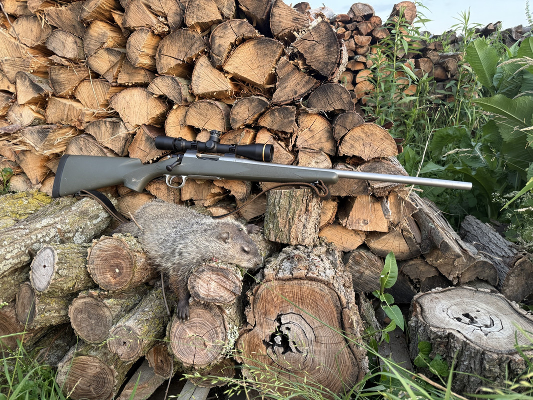s37X5bB