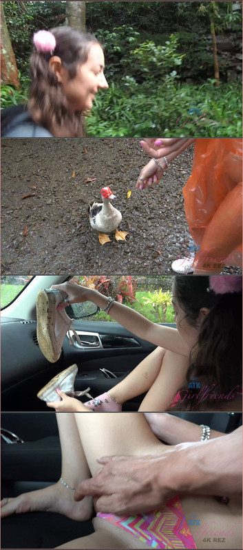 [Image: 22112024232655cover.jpg]