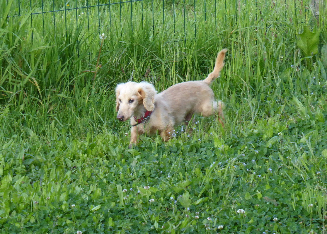 [Image: P1040966.jpg]