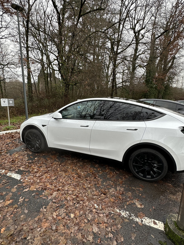 64611D4B-92EC-4DD1-82E5-94B6A573CCB5