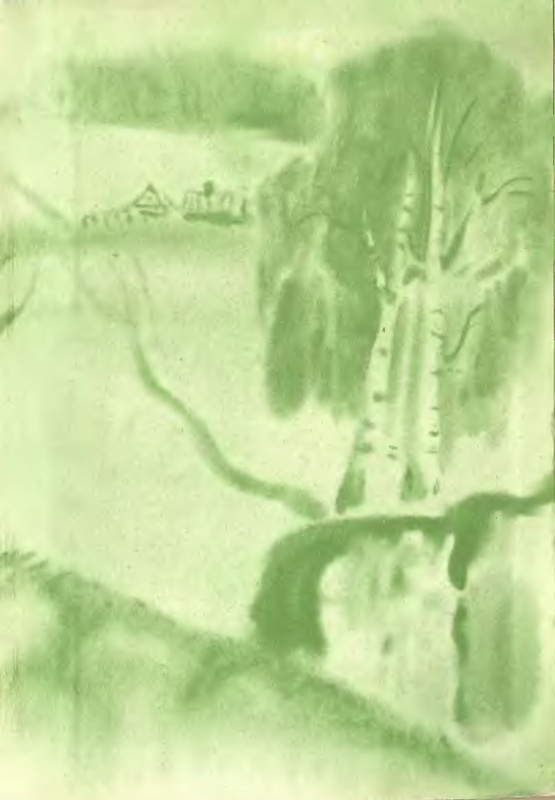 p0243