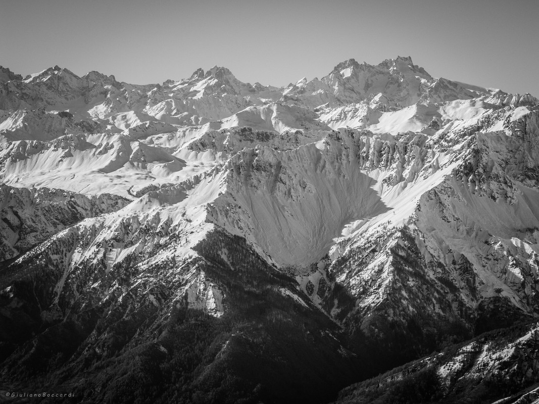 DSCF0550