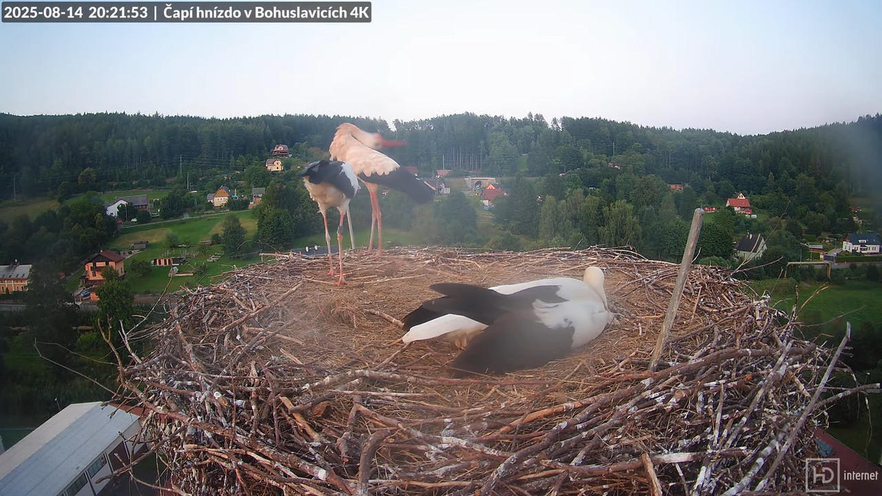 Tiešraide no KARA uzņēmuma stārķu skursteņa Bohuslavicē netālu no Trutnovas 14-40-44 screenshot