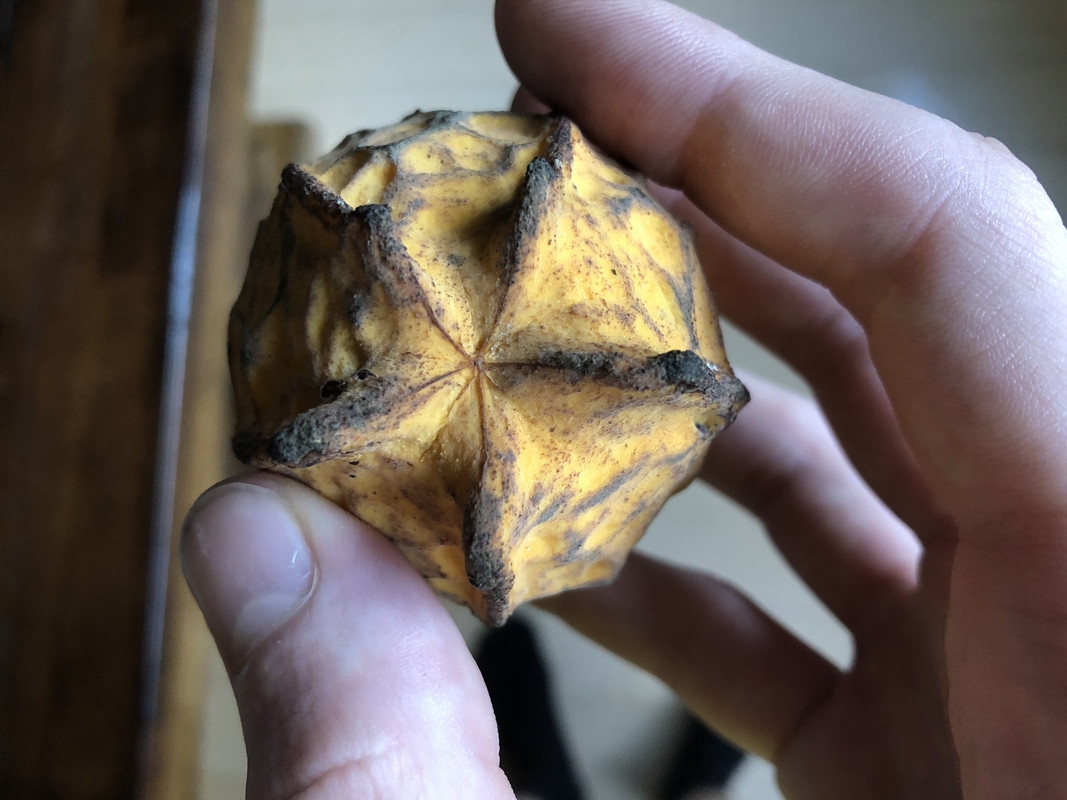 FFC4ECCB-5C8A-4AE7-921C-C15FBBC97EDB