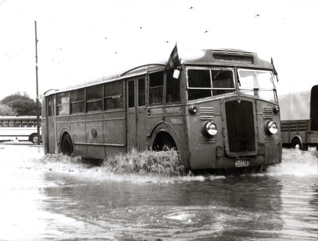 [Image: Athens-Trolley-Bus-Megalokonomoy-Agency-Un-AEC-en-una-calle-de-Atenas-Estos-autobuses-permanecieron.jpg]