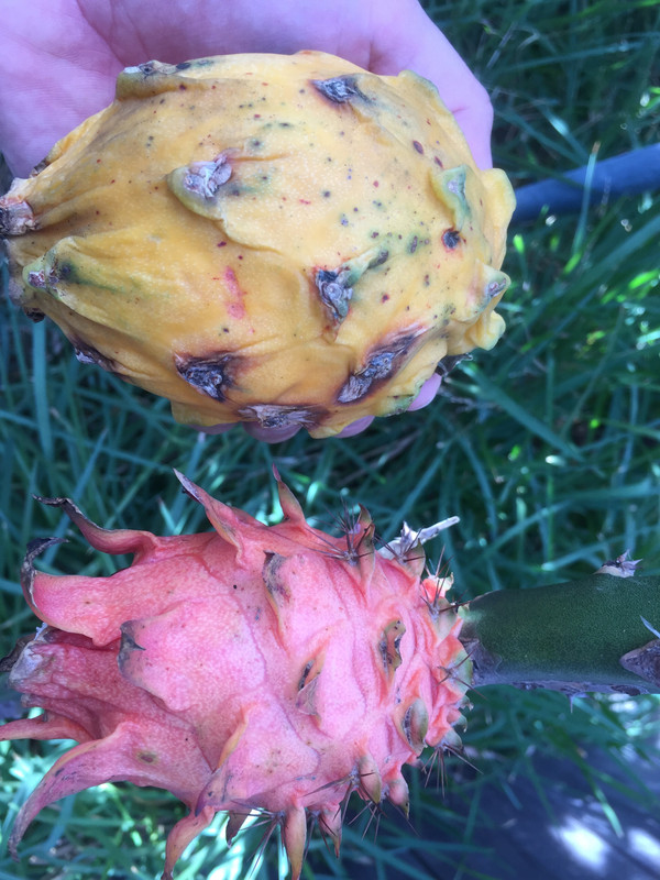 6D32EFD3-FAAB-4C19-82FA-4F75AB02B4EE