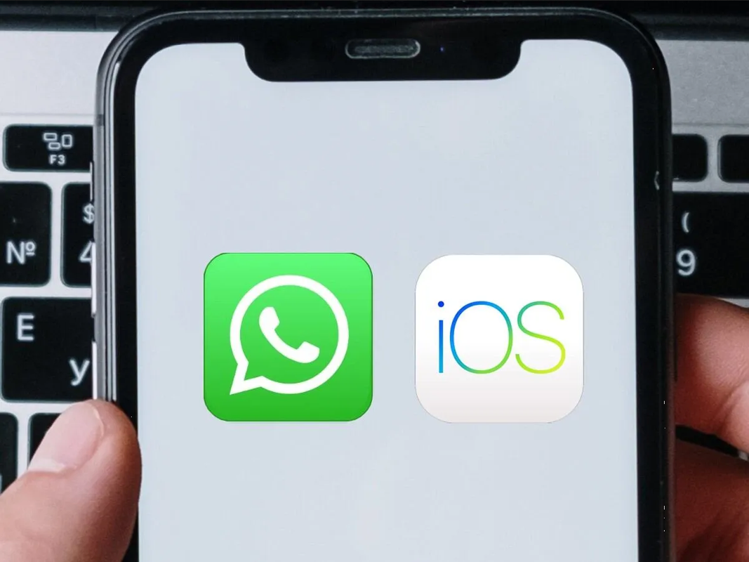 WhatsApp de iPhone se actualiza para iniciar sesión con correo electrónico