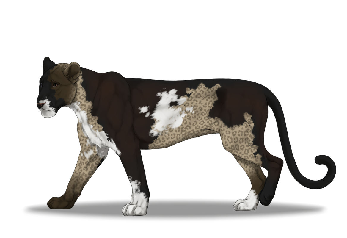Taiga-Lion2018-20241206021142.png