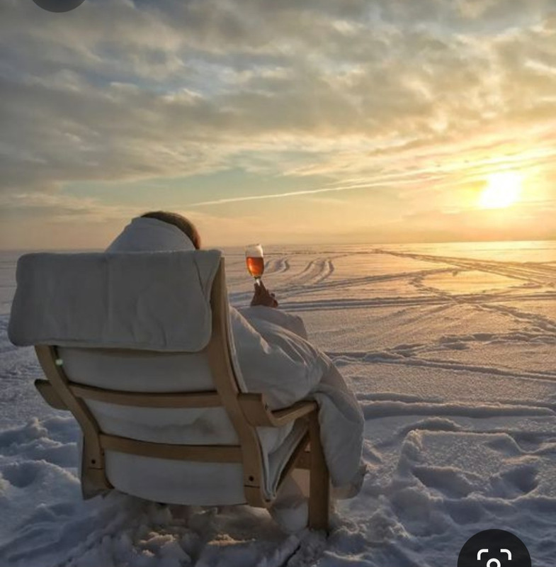 Screenshot_20231103_181914_Pinterest