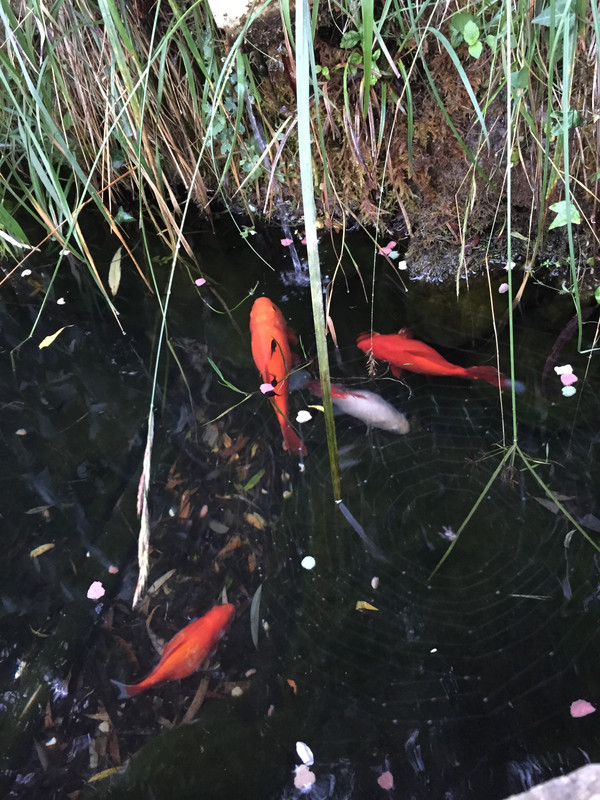 F5AA14C4-CAE6-4E93-B8AD-0D147C3878EA