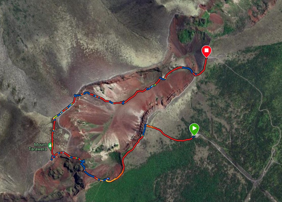 Cosas que hacer en Rotorua - Escapadas y rutas por la Nueva Zelanda menos conocida (42)