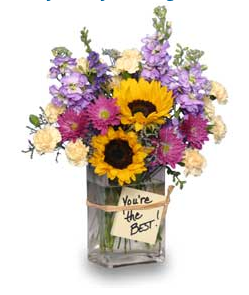 [Image: 3230866-C-F296-4-AB8-97-AD-098059-B81700.png]