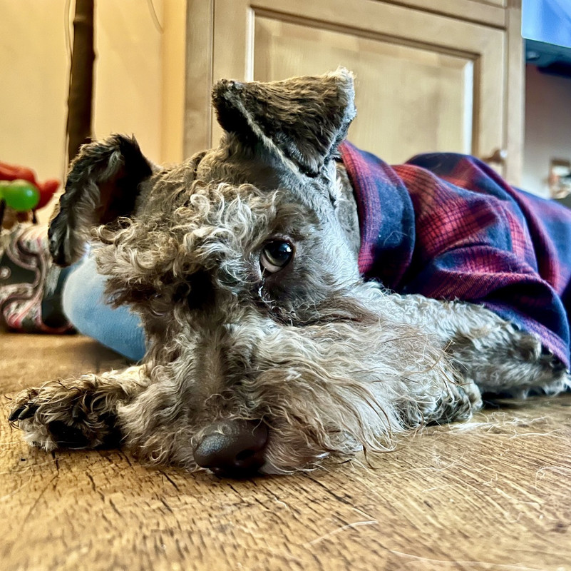 D82B2D0F-AAB0-48DA-829A-2B3BBE632D90