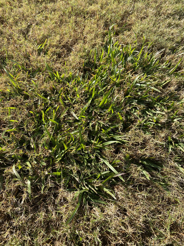 A6E497F6-E0C3-4276-BA93-58F415EDCF46