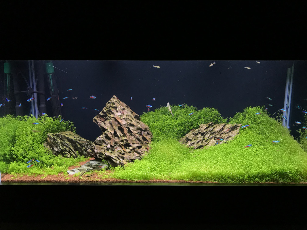 2477AF99-B13E-404C-BB01-2FD6C19F33E1