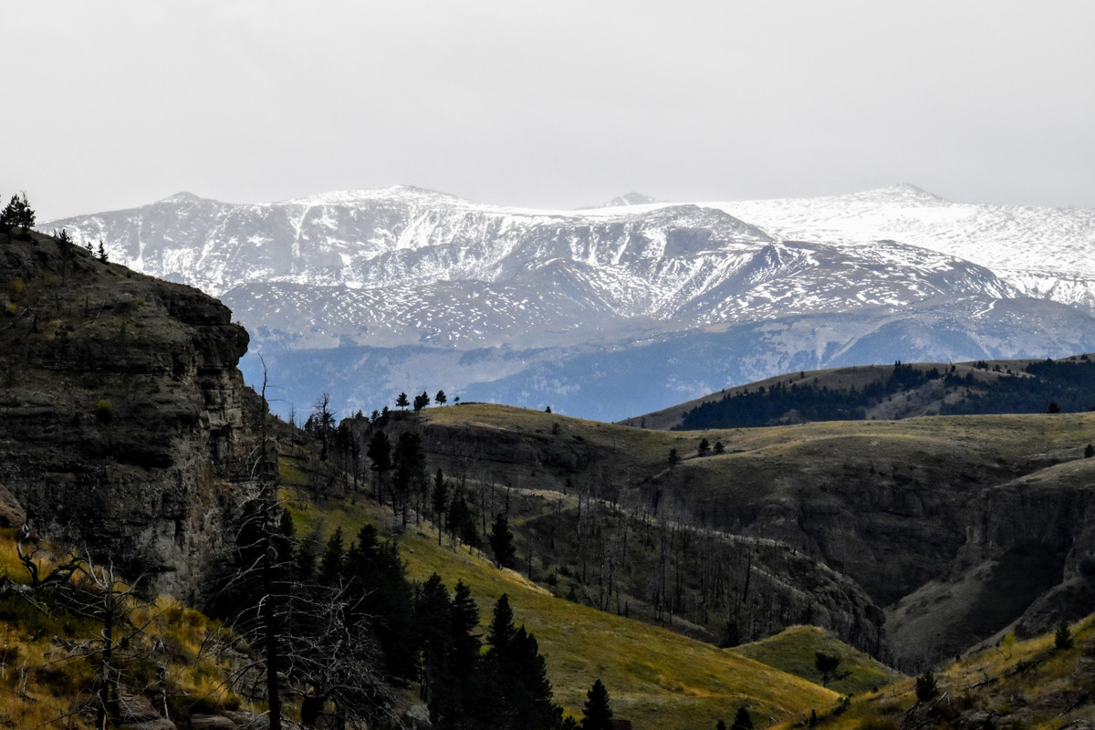 DSC_0009 (2)