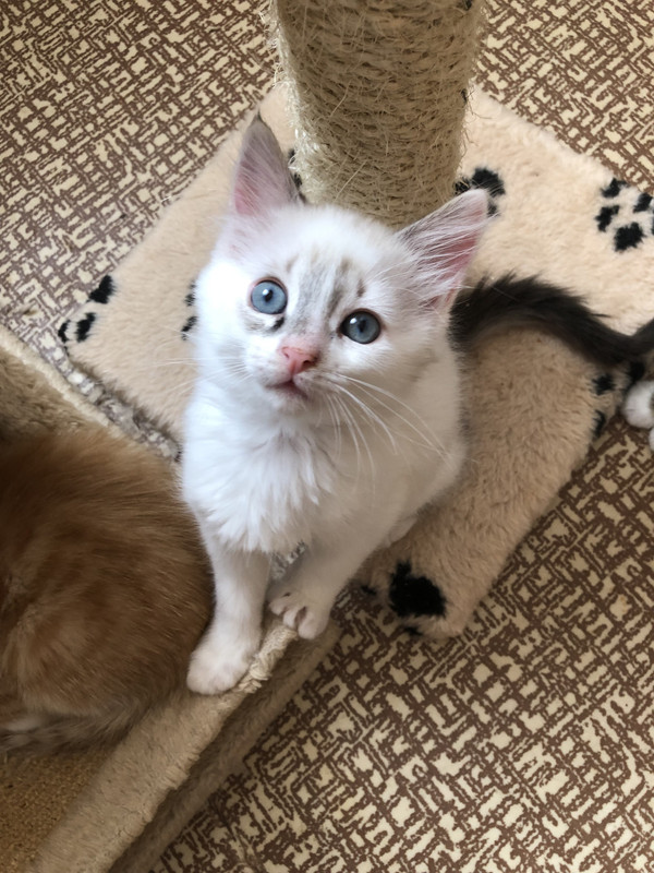 B9900B7D-BCF7-446A-BA87-197D494678A1