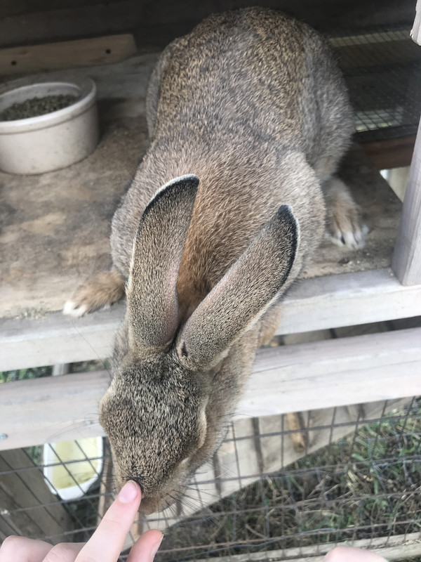 E61CAB84-B105-4636-9D2A-D747BFC13840