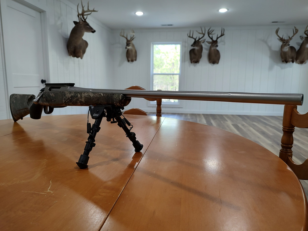 IMG_20240407_083638894_HDR