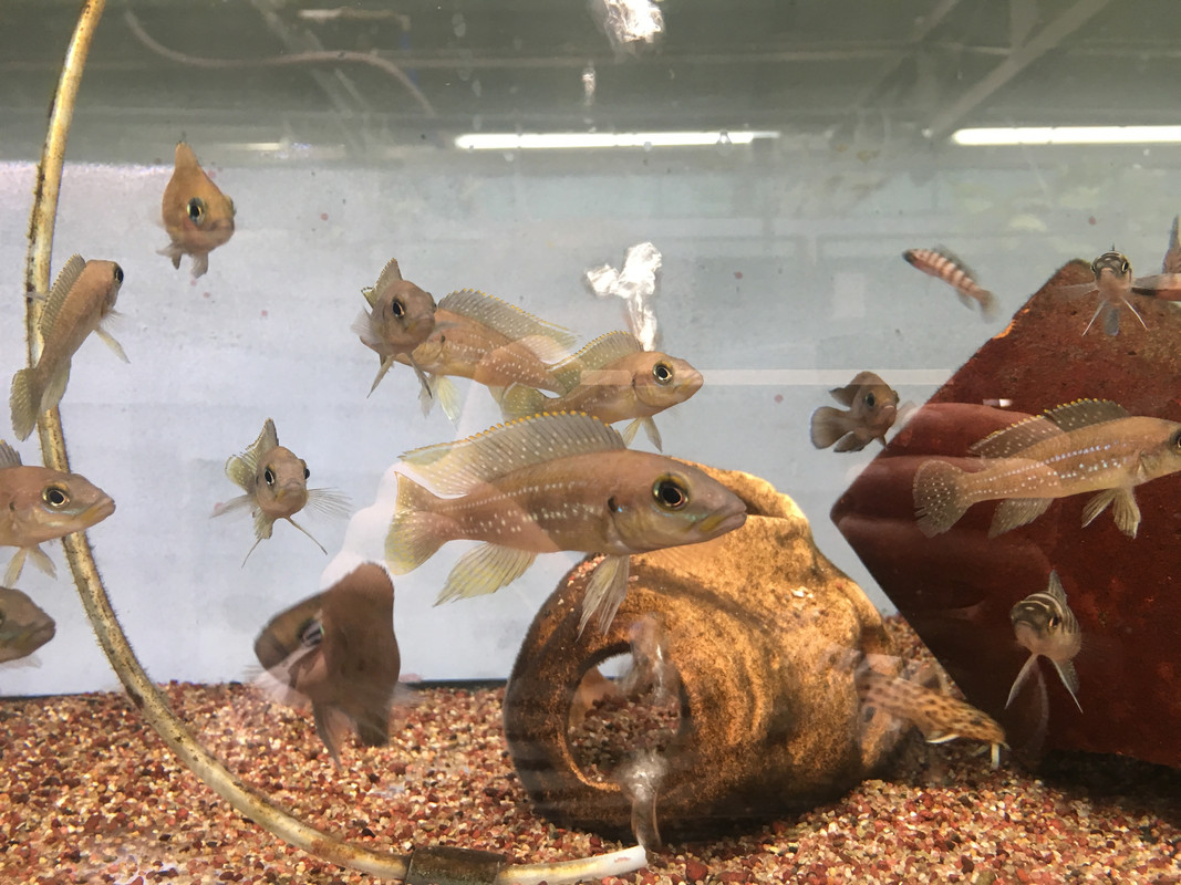 12EE5B52-E3EE-42B9-844A-0E820305B4D8