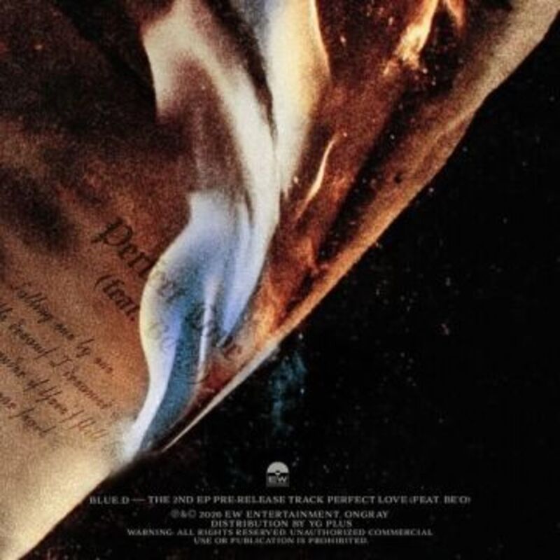 Perfect Love (feat. BE’O) album cover