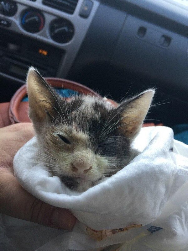 C8465309-F8B2-4003-8980-124AFD4BA0C1