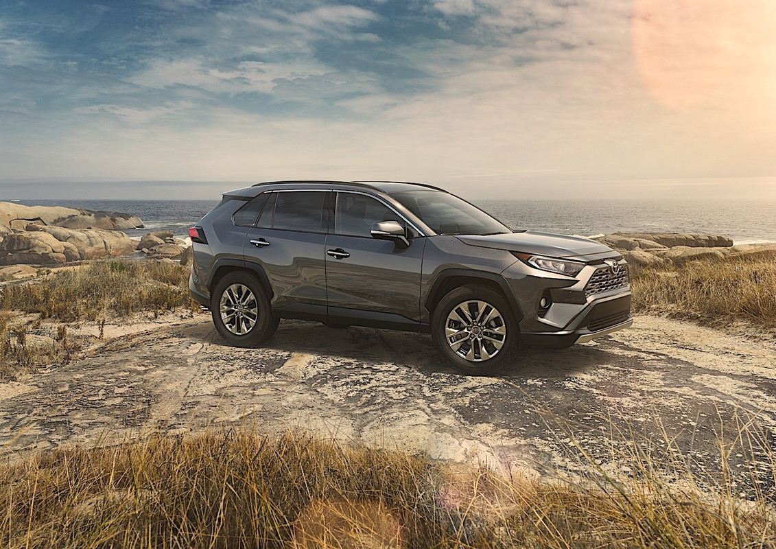 2019 Toyota RAV4 (1)