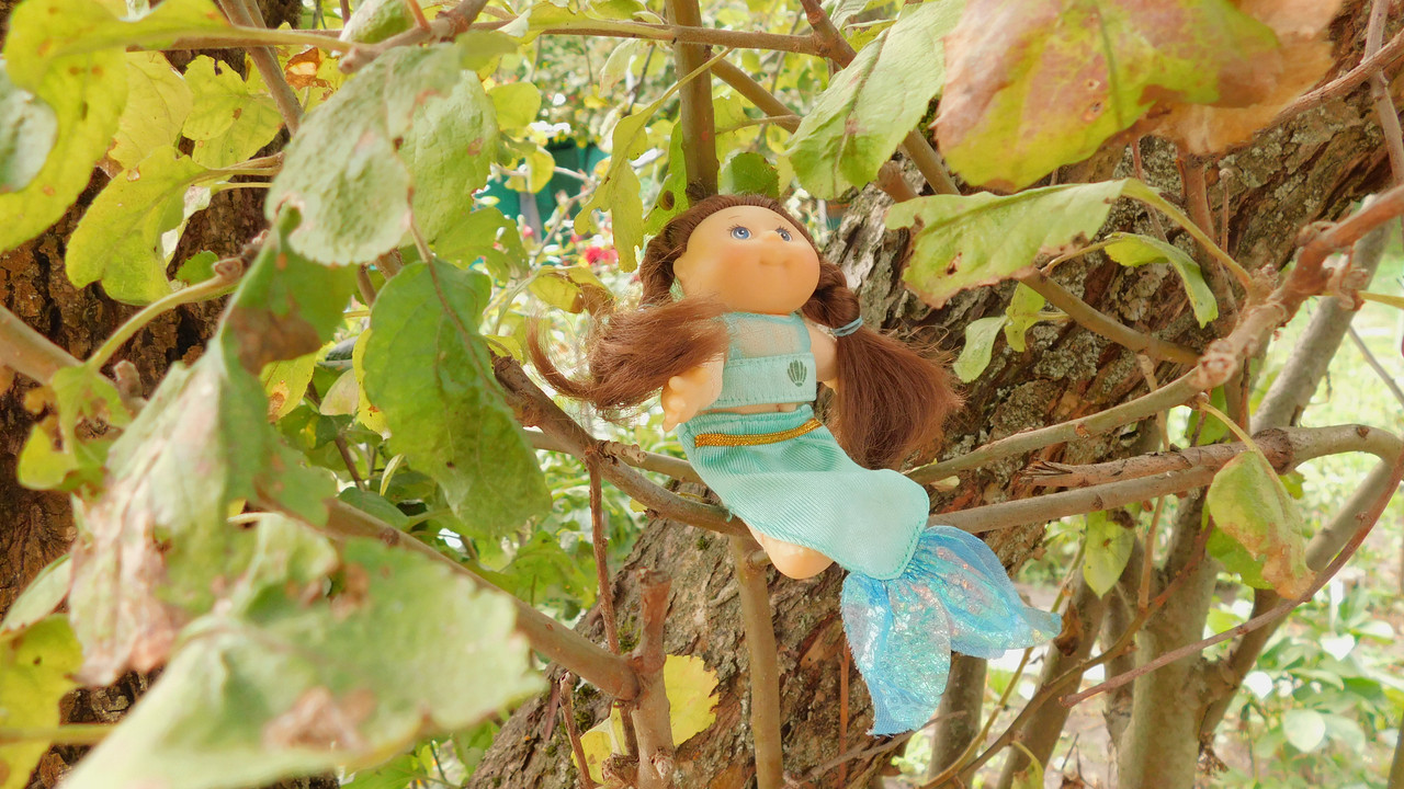 Дачное и  к Хелл сентябрь 2023 250