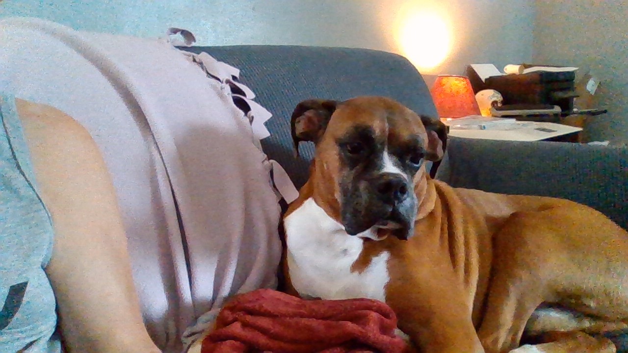 WIN_20210624_14_53_53_Pro