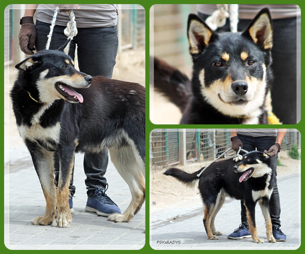 BeFunky-collage (11)