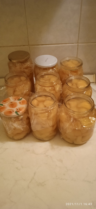 IMG_20211101_164328[1]