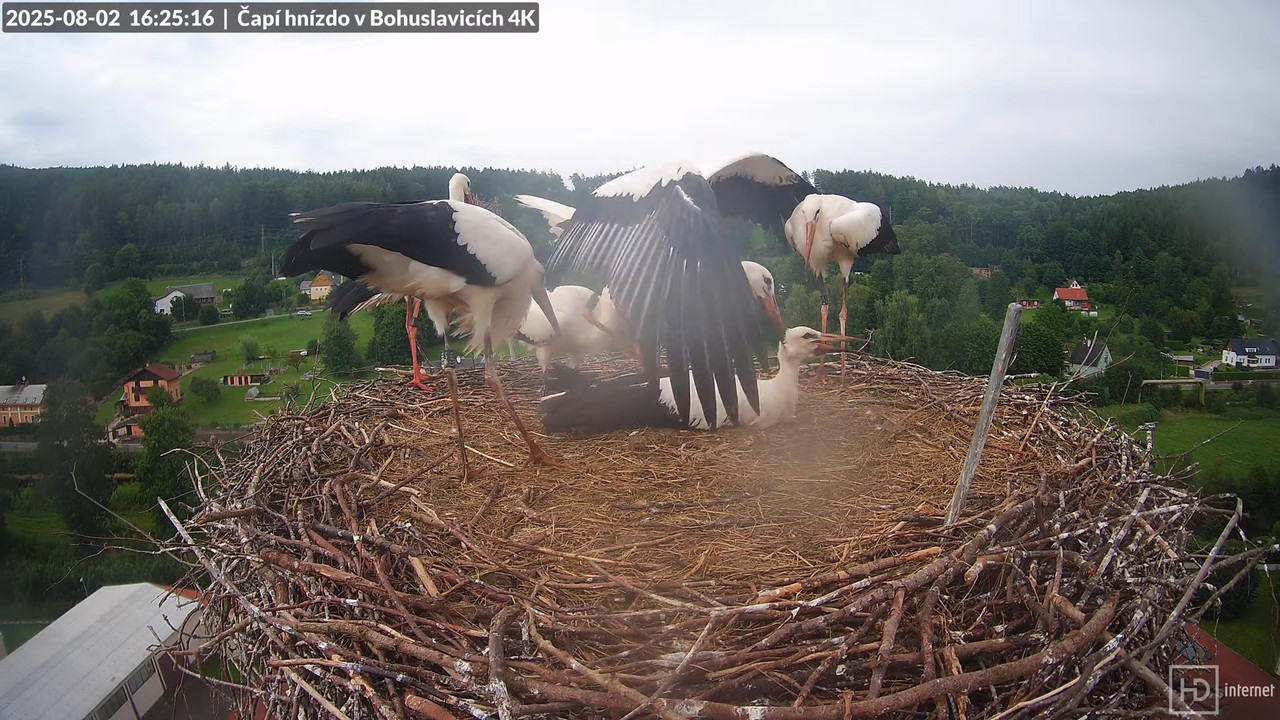 Tiešraide no KARA uzņēmuma stārķu skursteņa Bohuslavicē netālu no Trutnovas 18-18-25 screenshot