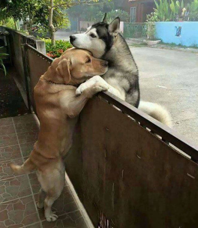 Wholesome-34