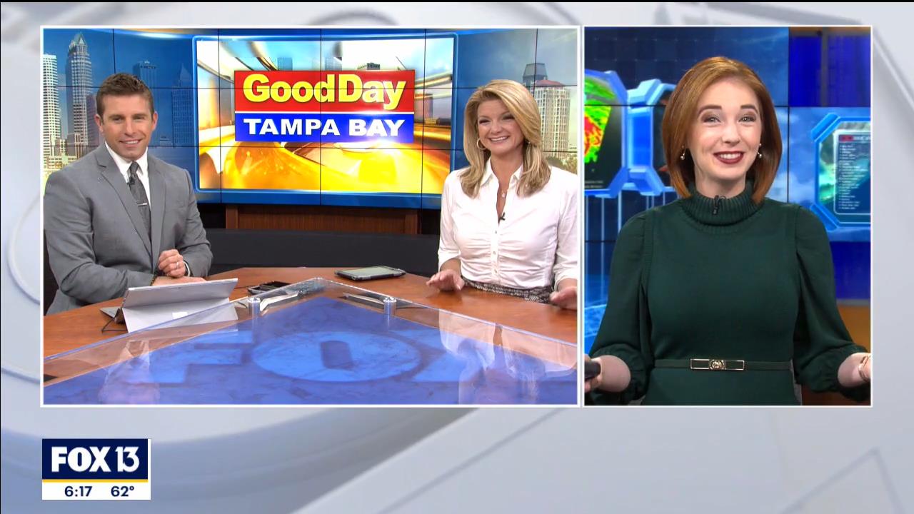 01 January - 11.00.00 - Good Day Tampa Bay @ 6AM. Local news, sp