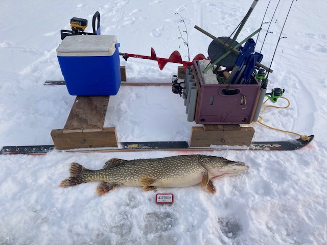 Eddies big pike 2