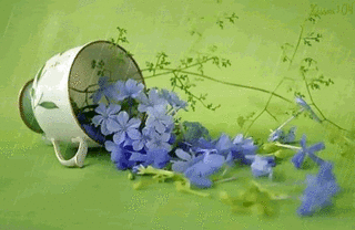 Rain20.gif