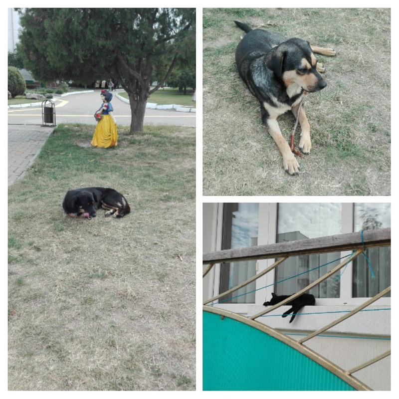 20171006_204320-COLLAGE