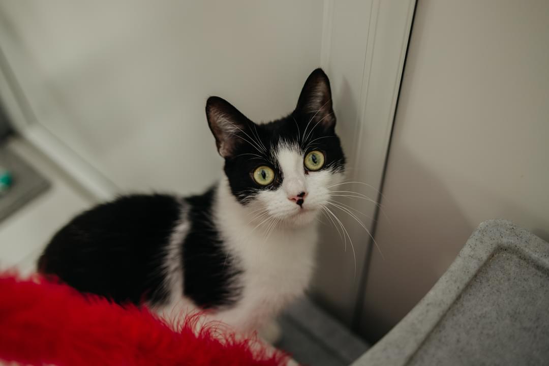 FB_IMG_1665570541894